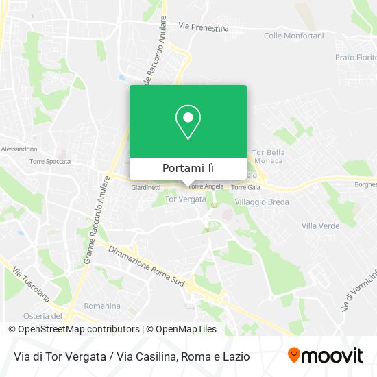 Mappa Via di Tor Vergata / Via Casilina