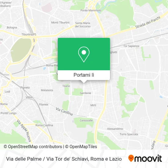 Mappa Via delle Palme / Via Tor de' Schiavi