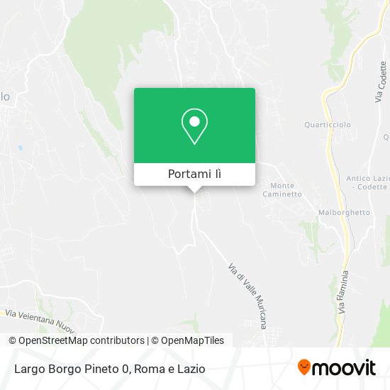 Mappa Largo Borgo Pineto 0