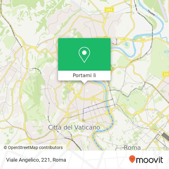 Mappa Viale Angelico, 221