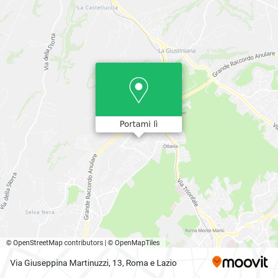 Mappa Via Giuseppina Martinuzzi, 13