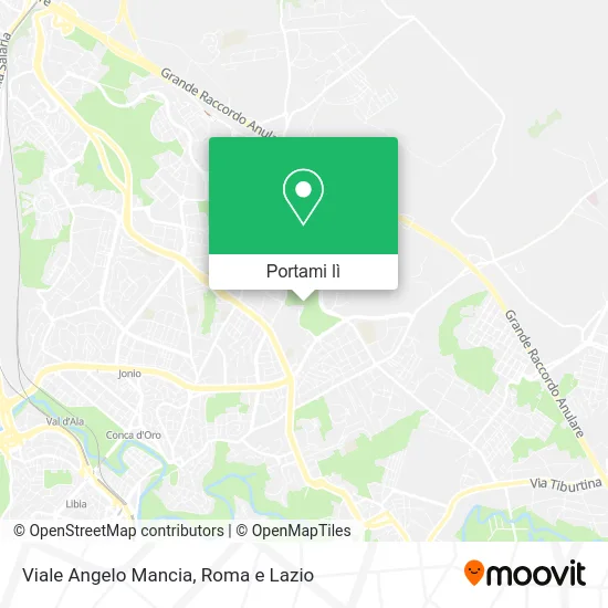 Mappa Viale Angelo Mancia