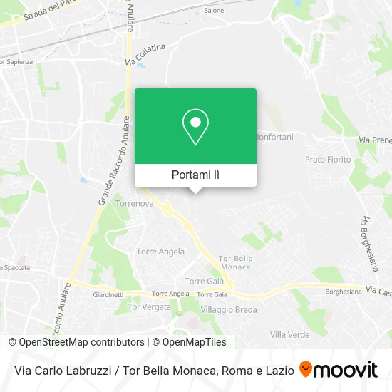 Mappa Via Carlo Labruzzi / Tor Bella Monaca