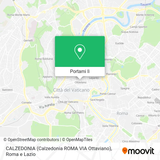 Mappa CALZEDONIA (Calzedonia ROMA VIA Ottaviano)