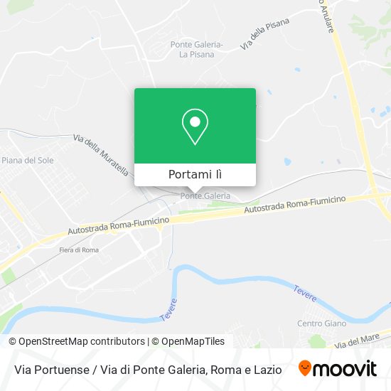Mappa Via Portuense / Via di Ponte Galeria
