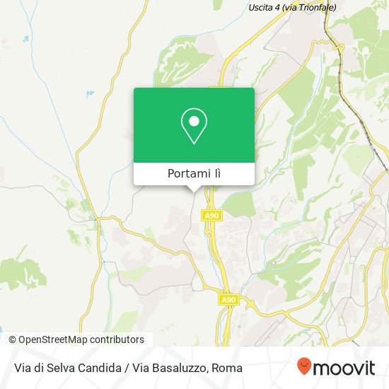 Mappa Via di Selva Candida / Via Basaluzzo