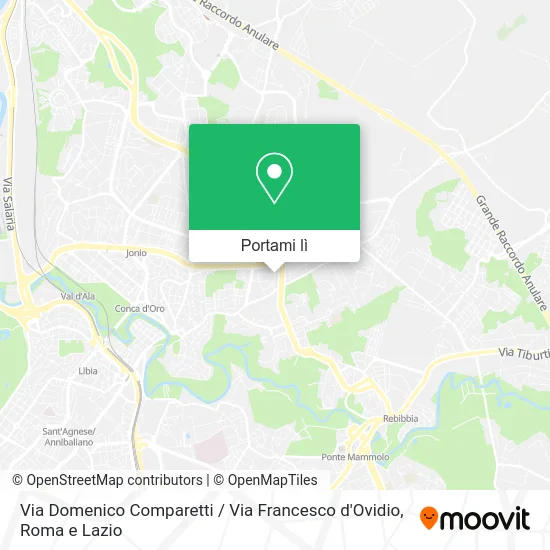 Mappa Via Domenico Comparetti / Via Francesco d'Ovidio