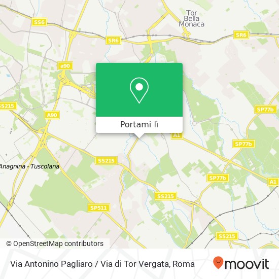 Mappa Via Antonino Pagliaro / Via di Tor Vergata