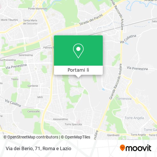 Mappa Via dei Berio, 71