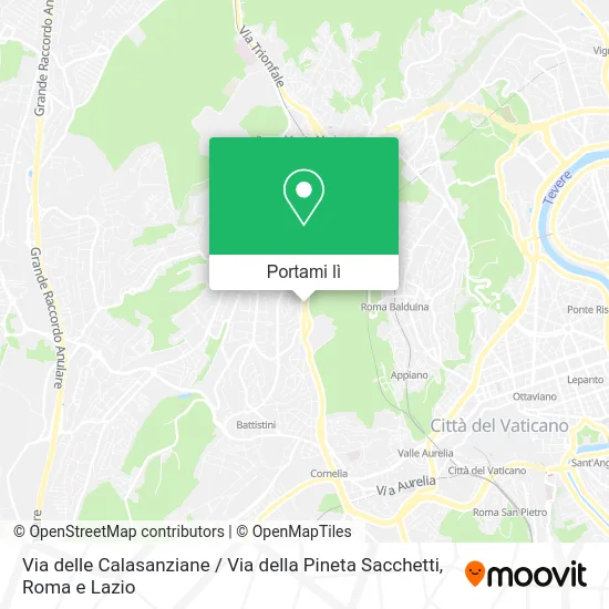 Mappa Via delle Calasanziane / Via della Pineta Sacchetti