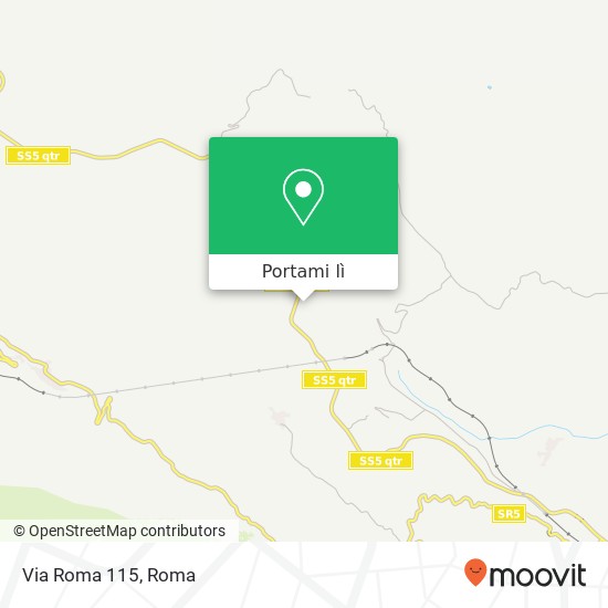 Mappa Via Roma 115