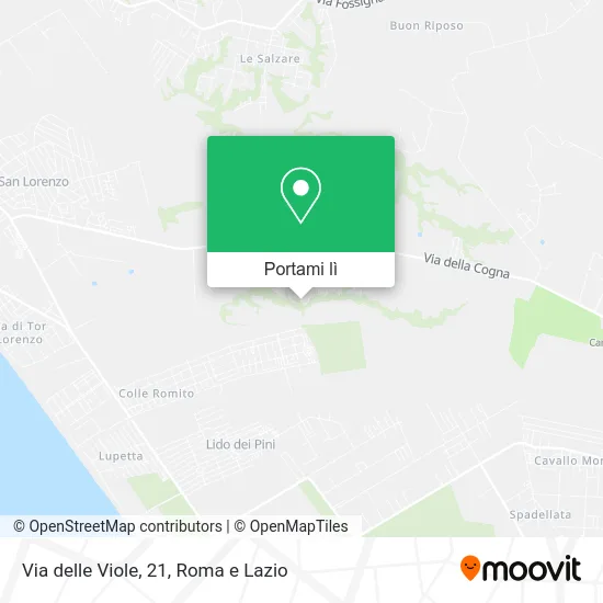 Mappa Via delle Viole, 21