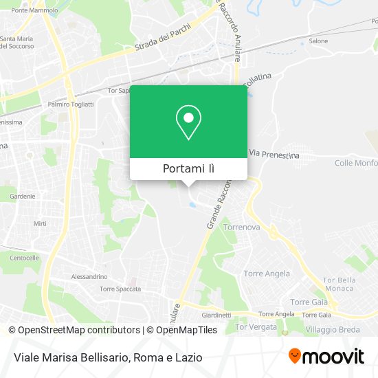 Mappa Viale Marisa Bellisario