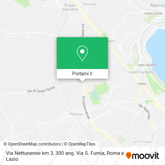 Mappa Via Nettunense km 3, 300 ang. Via S. Fumia