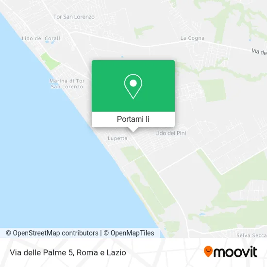 Mappa Via delle Palme 5