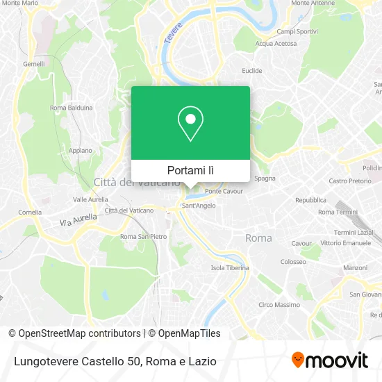 Mappa Lungotevere Castello  50
