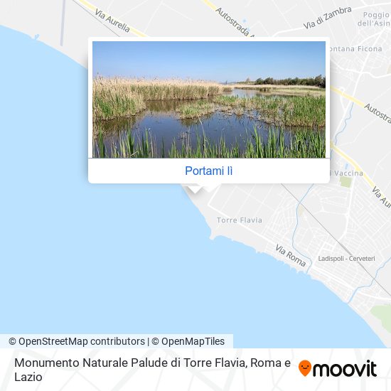 Mappa Monumento Naturale Palude di Torre Flavia