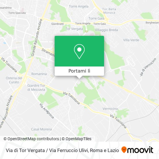 Mappa Via di Tor Vergata / Via Ferruccio Ulivi