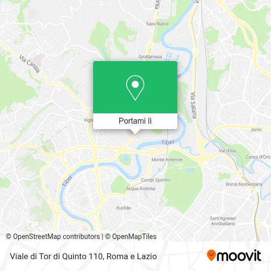 Mappa Viale di Tor di Quinto  110