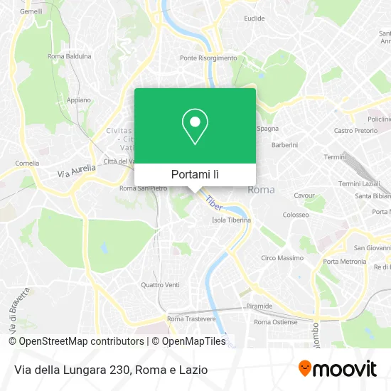 Mappa Via della Lungara  230