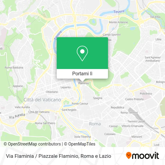 Mappa Via Flaminia / Piazzale Flaminio