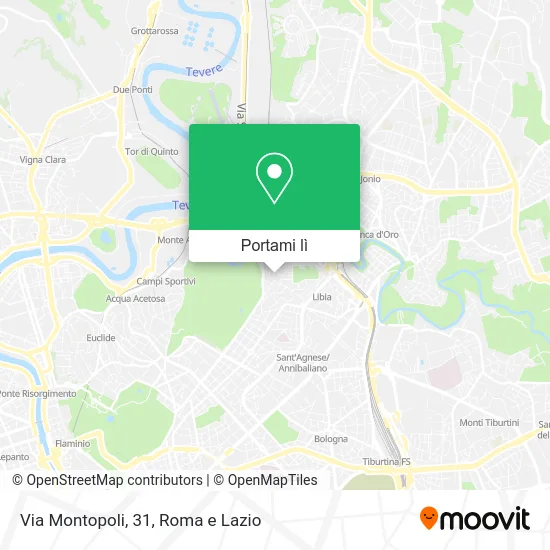 Mappa Via Montopoli, 31