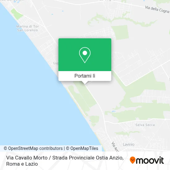Mappa Via Cavallo Morto / Strada Provinciale Ostia Anzio