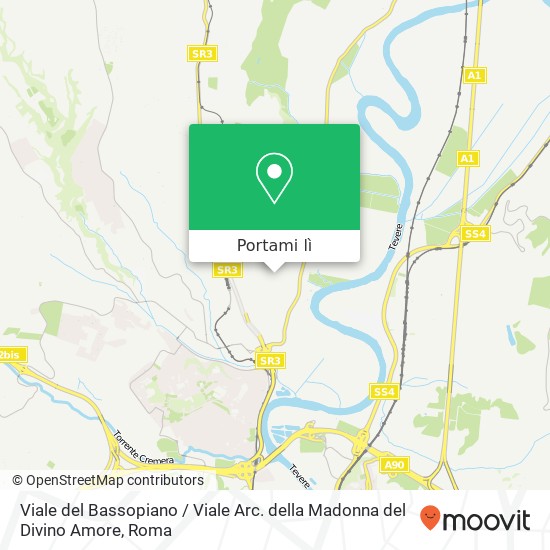 Mappa Viale del Bassopiano / Viale Arc. della Madonna del Divino Amore