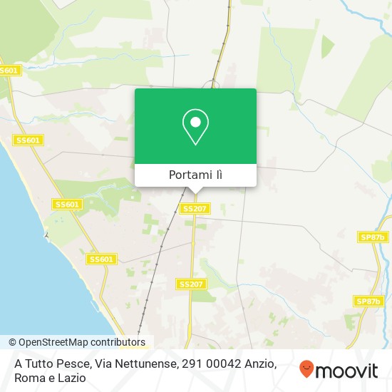 Mappa A Tutto Pesce, Via Nettunense, 291 00042 Anzio