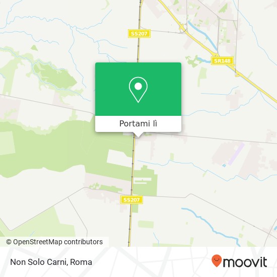 Mappa Non Solo Carni, Via Genio Civile, 479 04011 Aprilia