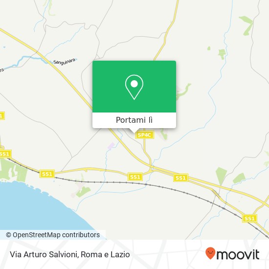Mappa Via Arturo Salvioni