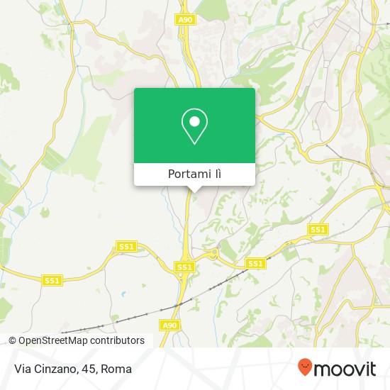 Mappa Via Cinzano, 45