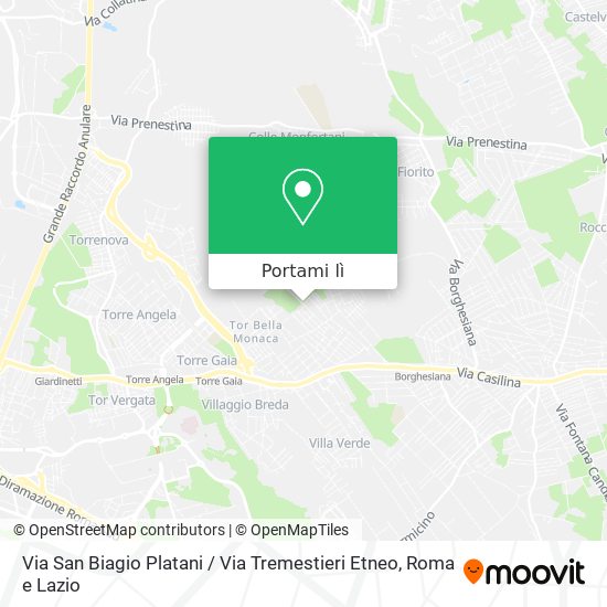 Mappa Via San Biagio Platani / Via Tremestieri Etneo