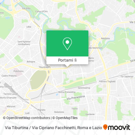 Mappa Via Tiburtina / Via Cipriano Facchinetti