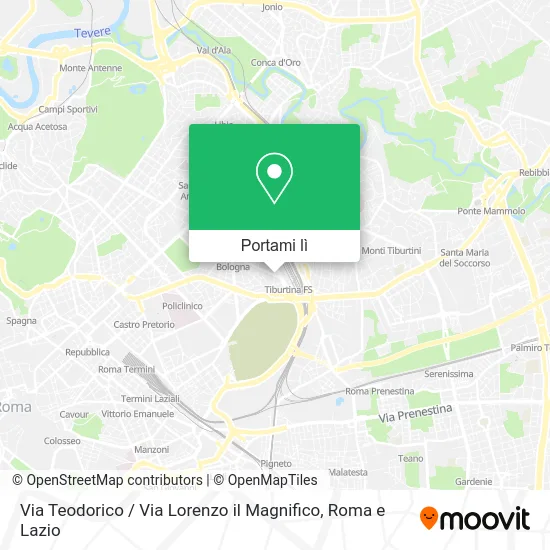 Mappa Via Teodorico / Via Lorenzo il Magnifico