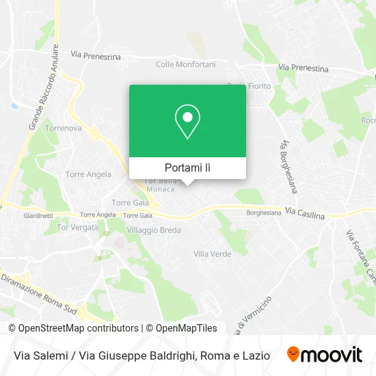 Mappa Via Salemi / Via Giuseppe Baldrighi
