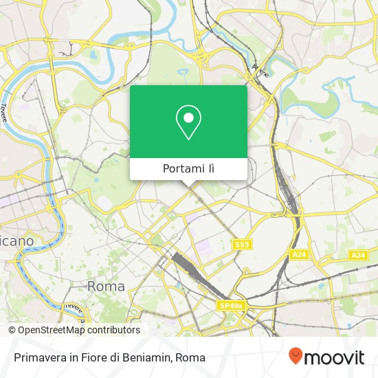 Mappa Primavera in Fiore di Beniamin