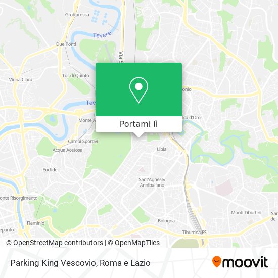 Mappa Parking King Vescovio