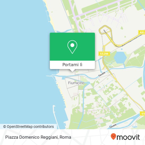 Mappa Piazza Domenico Reggiani