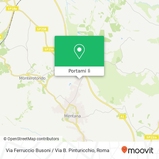 Mappa Via Ferruccio Busoni / Via B. Pinturicchio