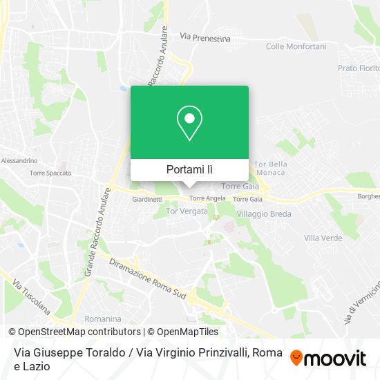 Mappa Via Giuseppe Toraldo / Via Virginio Prinzivalli