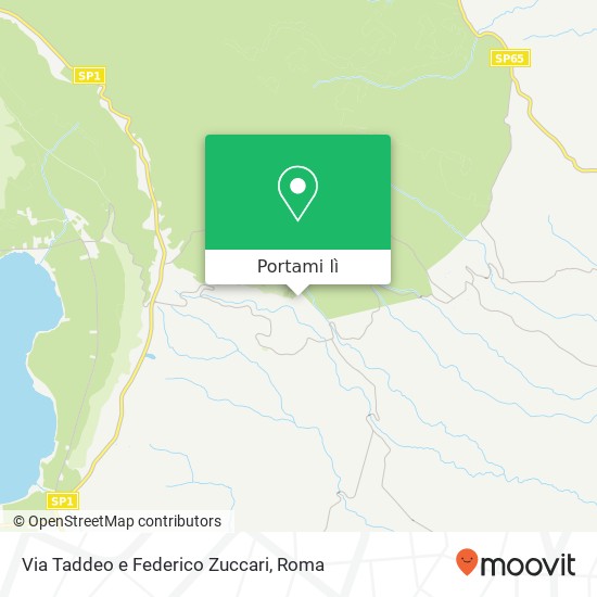 Mappa Via Taddeo e Federico Zuccari