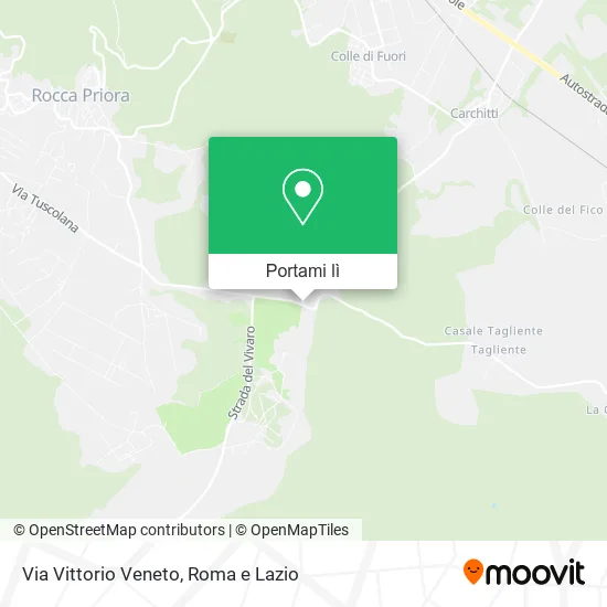 Mappa Via Vittorio Veneto