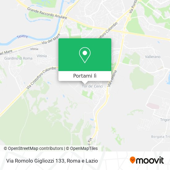 Mappa Via Romolo Gigliozzi 133