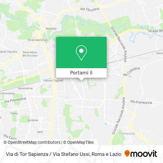 Mappa Via di Tor Sapienza / Via Stefano Ussi