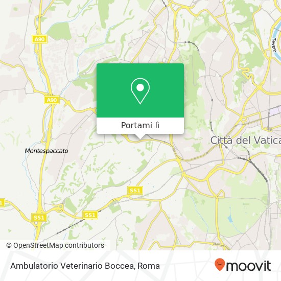 Mappa Ambulatorio Veterinario Boccea