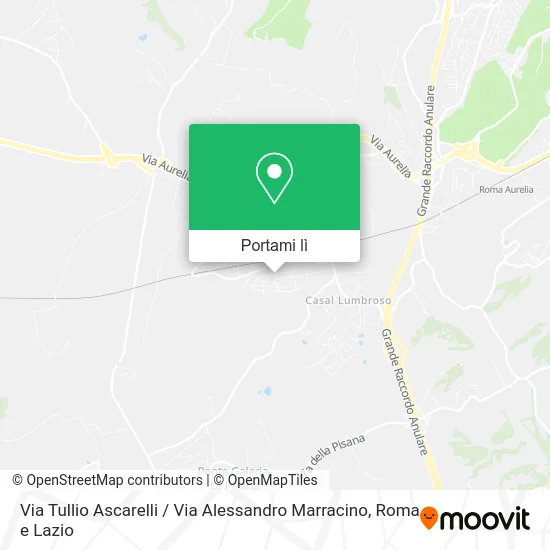 Mappa Via Tullio Ascarelli / Via Alessandro Marracino