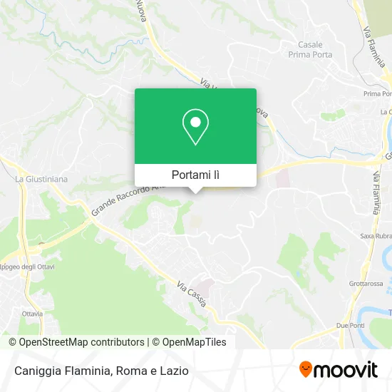 Mappa Caniggia Flaminia