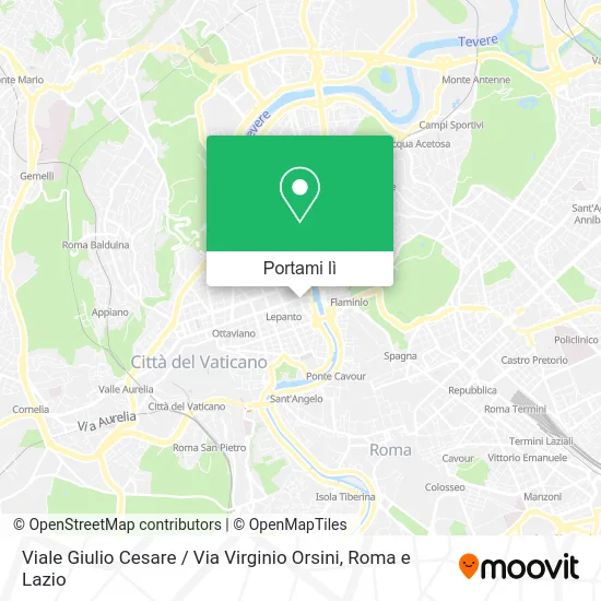 Mappa Viale Giulio Cesare / Via Virginio Orsini