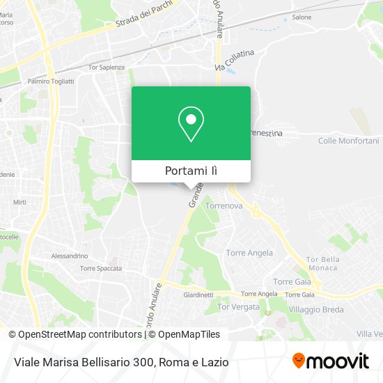 Mappa Viale Marisa Bellisario 300